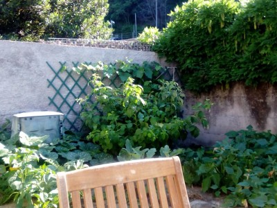 1530256895052582156973.jpg (141.42 KiB) Osservato 777 volte 1530256895052582156973.jpg