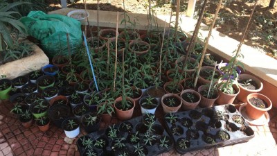 B761F10F-EB55-4BFC-AE6E-9992D60195FD.jpeg (127.3 KiB) Osservato 631 volte B761F10F-EB55-4BFC-AE6E-9992D60195FD.jpeg