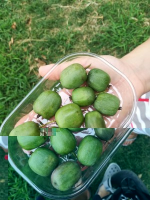 IMG_20180813_171906.jpg (116.48 KiB) Osservato 878 volte IMG_20180813_171906.jpg