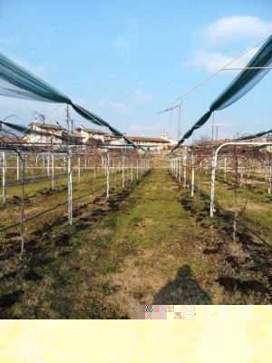 IMG_20190120_140822.jpg (173.5 KiB) Osservato 818 volte IMG_20190120_140822.jpg