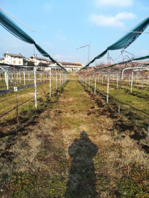 IMG_20190120_140805.jpg (199.83 KiB) Osservato 818 volte IMG_20190120_140805.jpg