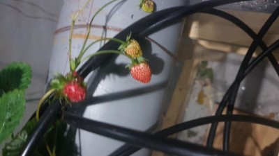 IMG-20190314-WA0022.jpeg (44.83 KiB) Osservato 1004 volte IMG-20190314-WA0022.jpeg