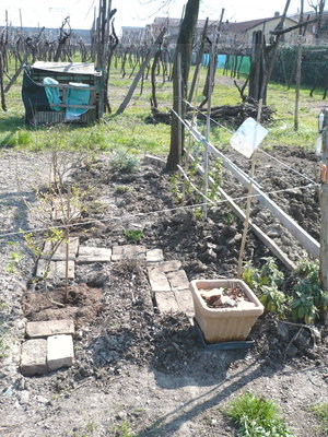 P1010434.JPG (283.24 KiB) Osservato 5789 volte P1010434.JPG