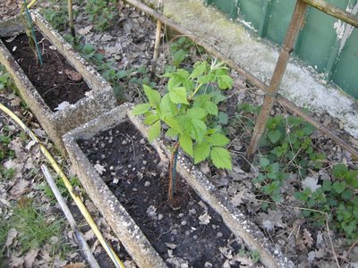 DSCN7588.JPG (174.22 KiB) Osservato 5855 volte DSCN7588.JPG