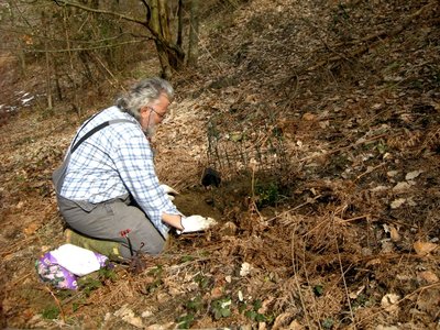 mirtillo.JPG (207.24 KiB) Osservato 5855 volte mirtillo.JPG