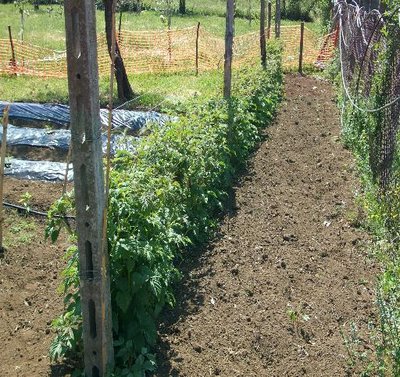 miste 042.jpg (98.65 KiB) Osservato 5677 volte miste 042.jpg