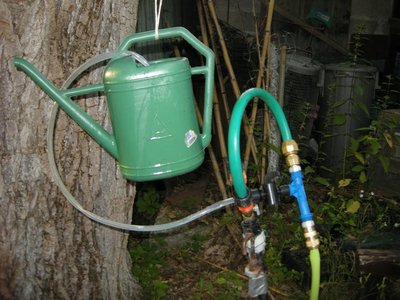 DSCN7691.JPG (119.26 KiB) Osservato 7146 volte DSCN7691.JPG