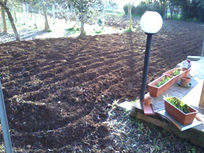 Img.1 / Foto0272.jpg Foto0272.jpg