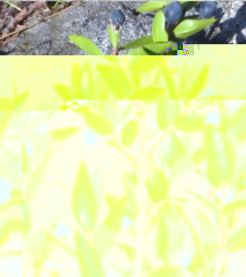 Foto692.jpg (184.14 KiB) Osservato 1396 volte Foto692.jpg