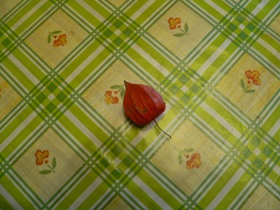 P1020001.JPG (173.39 KiB) Osservato 1068 volte P1020001.JPG