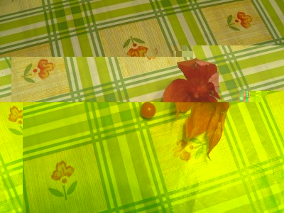 P1020003.JPG (169.36 KiB) Osservato 1068 volte P1020003.JPG