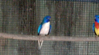 IMG-20180225-WA0001-400x224.jpg IMG-20180225-WA0001-400x224.jpg