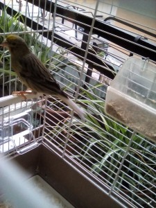 IMG_20190819_193706.jpg IMG_20190819_193706.jpg