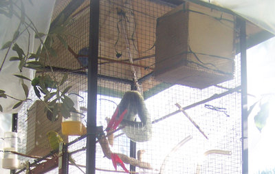 Nidi / Nidi-800x600.jpg Nidi-800x600.jpg