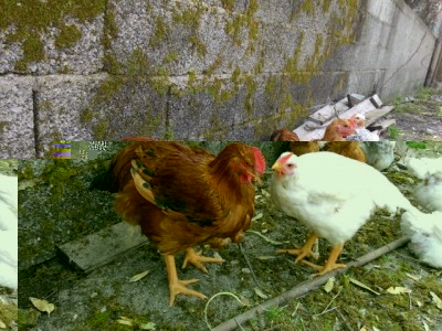 IMG_2015042136575.jpg (94.26 KiB) Osservato 516 volte IMG_2015042136575.jpg