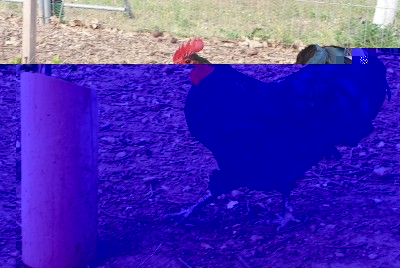 20150426_182054.jpg (217.02 KiB) Osservato 1161 volte 20150426_182054.jpg