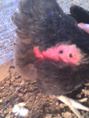 Gia.jpg (155.15 KiB) Osservato 489 volte Gia.jpg