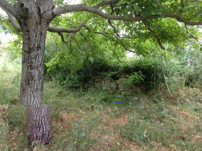 IMG_2279.JPG (125.73 KiB) Osservato 596 volte IMG_2279.JPG