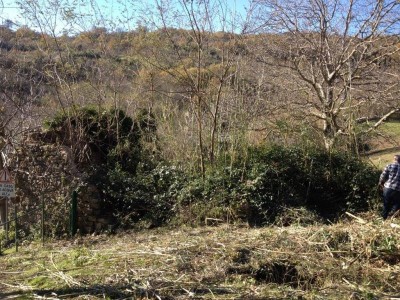 IMG_4038.JPG (164.38 KiB) Osservato 596 volte IMG_4038.JPG