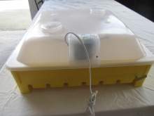 Cattura1.JPG Cattura1.JPG