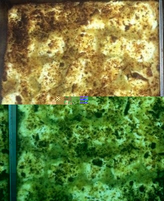 image.jpg (81.5 KiB) Osservato 601 volte image.jpg