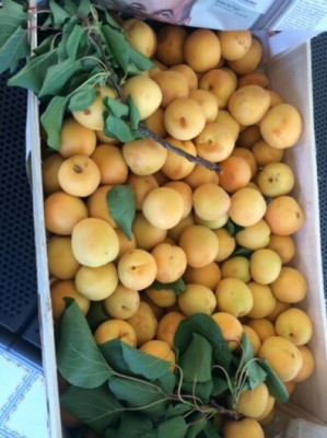 image.jpg (64.5 KiB) Osservato 598 volte image.jpg