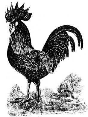 fig02.jpg fig02.jpg