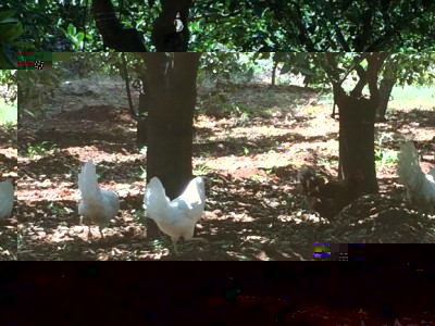 image.jpg (142.58 KiB) Osservato 581 volte image.jpg