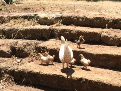 image.jpg (215.85 KiB) Osservato 627 volte image.jpg