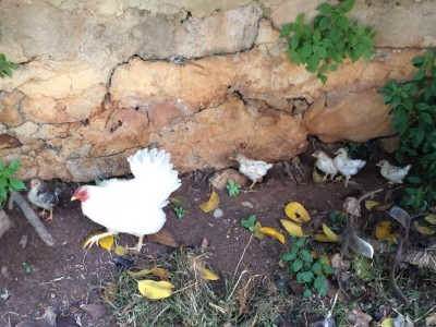 image.jpg (194.63 KiB) Osservato 627 volte image.jpg