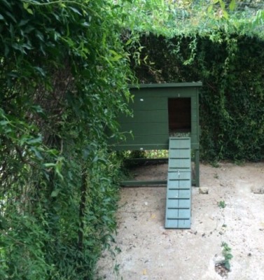 image.jpg (192.29 KiB) Osservato 3853 volte image.jpg