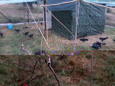 20150722_195719.jpg (257.82 KiB) Osservato 1934 volte 20150722_195719.jpg