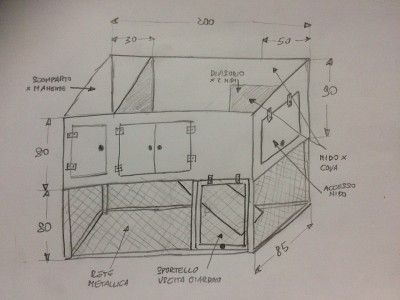 Il penoso schizzo del pollaio... / image1.JPG image1.JPG