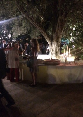 Bouvette montata. / image.jpg image.jpg