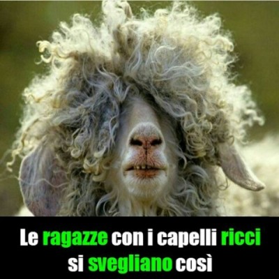 IMG-20151001-WA0002.jpg (85.46 KiB) Osservato 528 volte IMG-20151001-WA0002.jpg