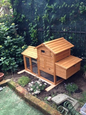 Pollaio2.jpg (106.77 KiB) Osservato 1364 volte Pollaio2.jpg