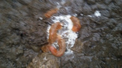 20160207_083731_800x450.jpg (93.31 KiB) Osservato 488 volte 20160207_083731_800x450.jpg