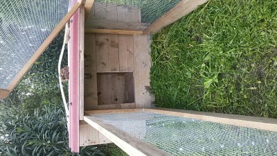 IMG_20160326_212301469.jpg (122.08 KiB) Osservato 1779 volte IMG_20160326_212301469.jpg