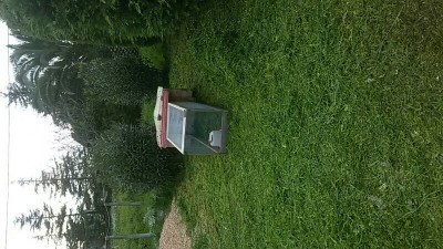 _IMG_000000_000000.jpg (111.74 KiB) Osservato 1779 volte _IMG_000000_000000.jpg