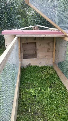 _IMG_000000_000000.jpg (124.03 KiB) Osservato 1063 volte _IMG_000000_000000.jpg