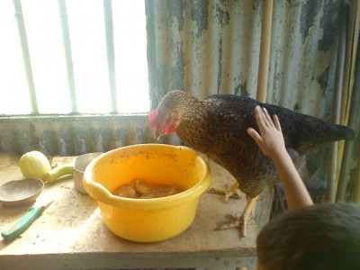 2015-08-20 20.jpg (52.33 KiB) Osservato 683 volte 2015-08-20 20.jpg