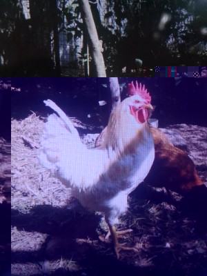 1462715590516-1157711721.jpg (109.51 KiB) Osservato 563 volte 1462715590516-1157711721.jpg