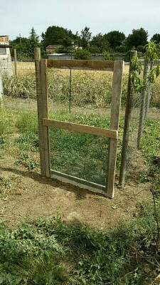 _IMG_000000_000000.jpg (128.78 KiB) Osservato 1407 volte _IMG_000000_000000.jpg