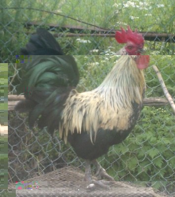 WP_003186.jpg (134.95 KiB) Osservato 653 volte WP_003186.jpg