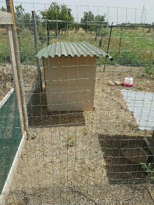 IMG_20160617_174826771.jpg (206.69 KiB) Osservato 1324 volte IMG_20160617_174826771.jpg