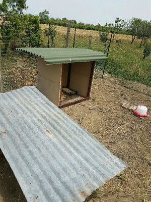 IMG_20160617_174840110.jpg (176.52 KiB) Osservato 1324 volte IMG_20160617_174840110.jpg