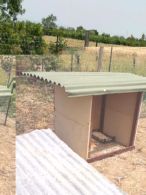 _IMG_000000_000000.jpg (154.55 KiB) Osservato 1324 volte _IMG_000000_000000.jpg