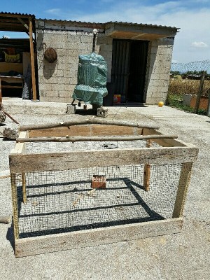 _IMG_000000_000000.jpg (192.83 KiB) Osservato 1462 volte _IMG_000000_000000.jpg