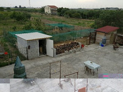 In basso a destra pollaio ovaiole..in alto a destra recinto pulcinotti..in basso a sinistra alle spalle della rimessa attrezzi il recinto dei Germani.. / IMG_20160626_214146310.jpg IMG_20160626_214146310.jpg