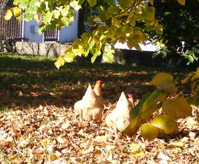 felici.jpg (165.02 KiB) Osservato 981 volte felici.jpg